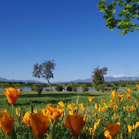 호텔 Brit Porte D'espagne